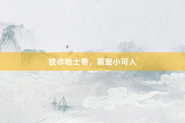 狡诈哈士奇，萌宠小可人